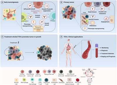 Tumor-Derived Extracellular Vesicles: Modulation of Cellular Functional Dynamics in Tumor Microenvironment and Its Clinical Implications